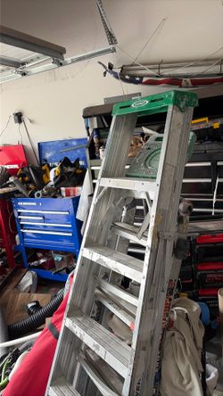 Ladder Werner