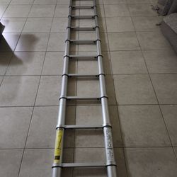 Collapsing 12 Foot Ladder