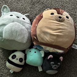 Squishmallows Lot!