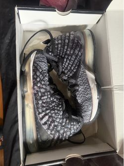 LeBron shoes