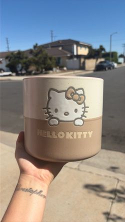 Hello kitty flower pot