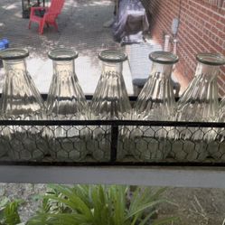 Plant Propagation Station 