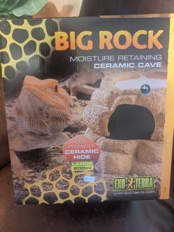 Large lizard cave