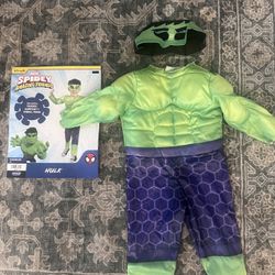 Toddler Hulk Costume 