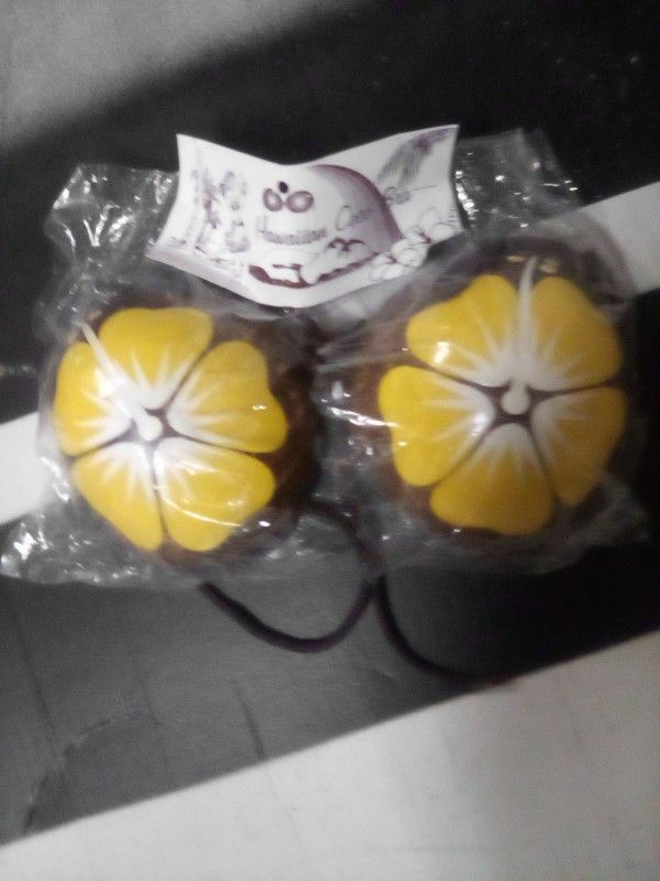 Coconut Bikini Top for Hawaiian Costume