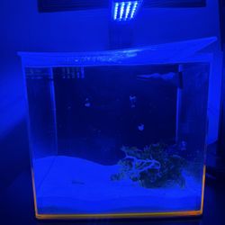 Eshopps 4.8 Gal Reef Tank