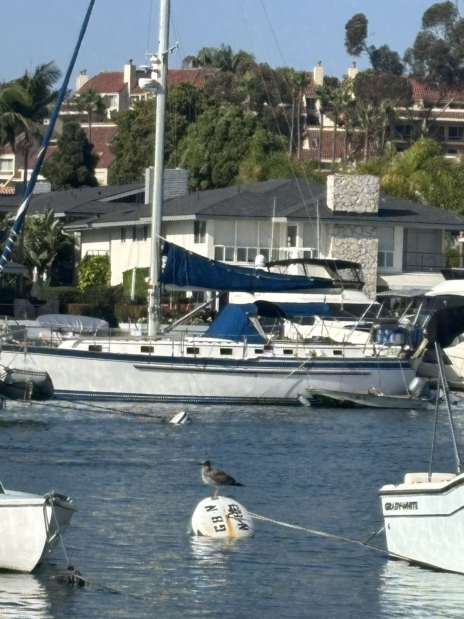 1984 Endeavor Bob Johnson