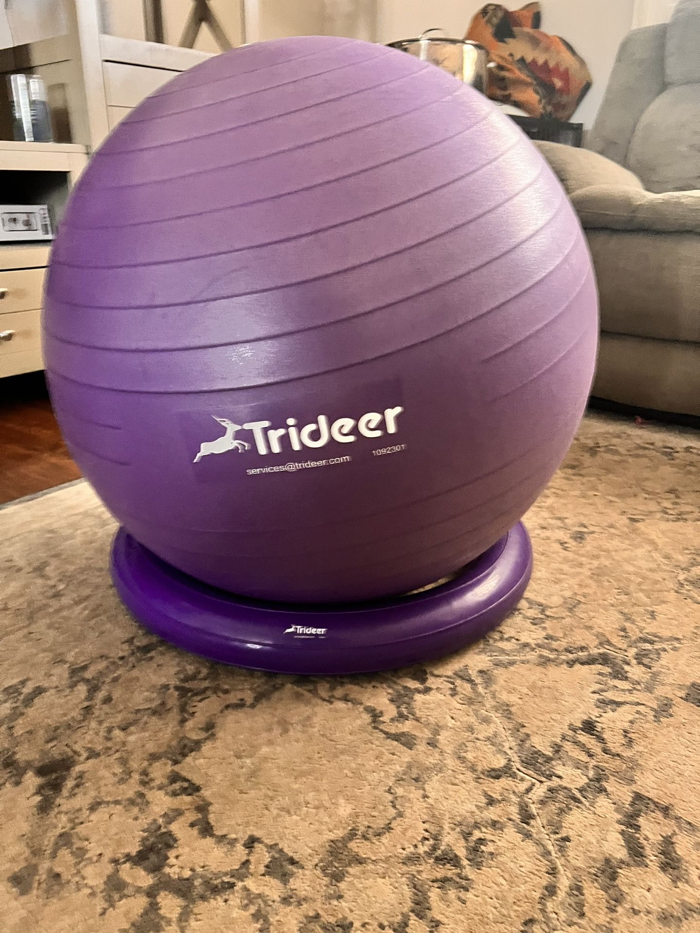 Exercise Ball With Stand