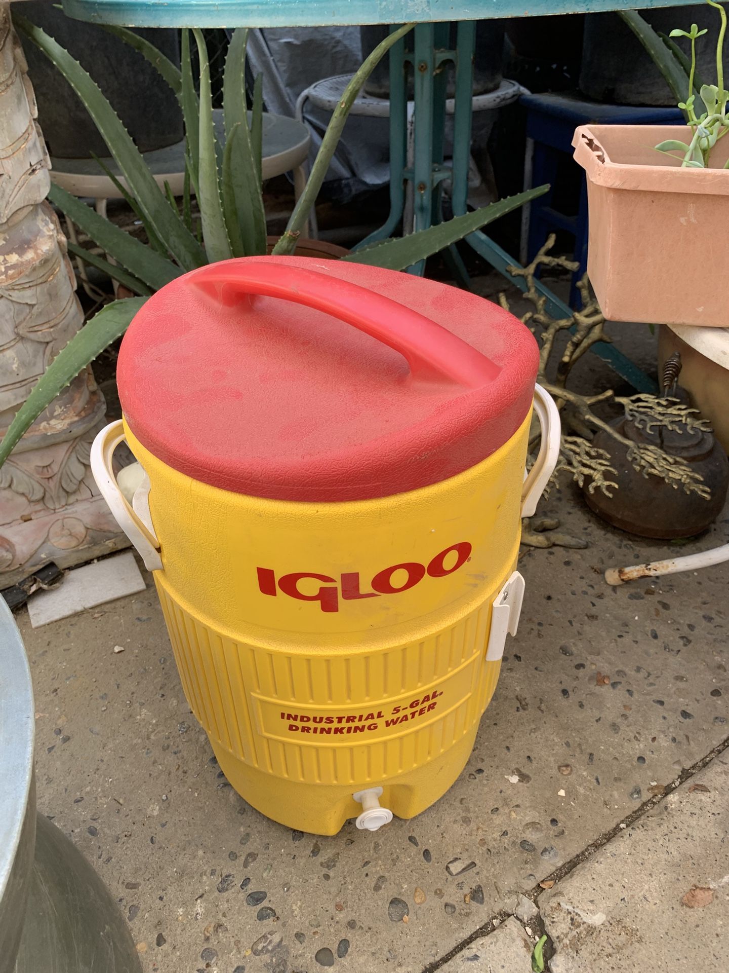 Large Water Jug