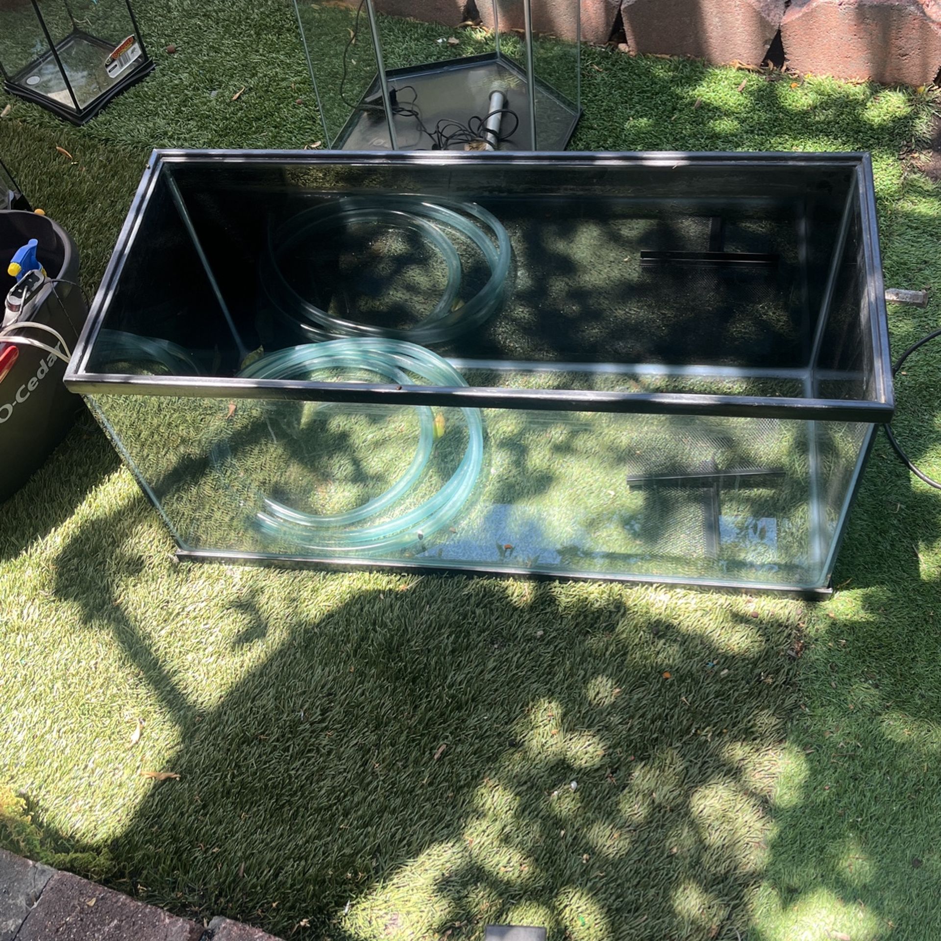 Fish Tank