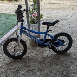 Schwinn Kids Bike
