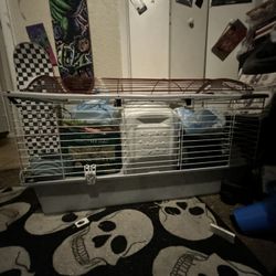 Bunny Cage