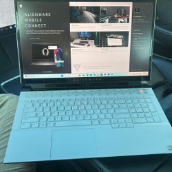 Alienware M17r3 Gaming Laptop