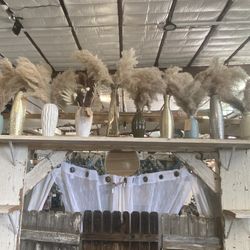 Pampas Grass In Vases