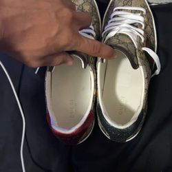 Gucci Shoes