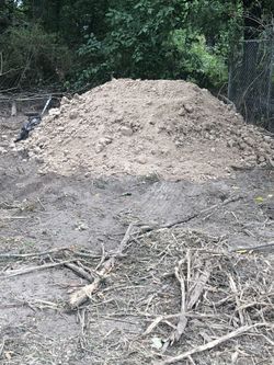 Fill Dirt