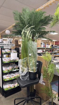 Each $25 Large Artificial Palm Tree in Black Pot