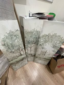 3 piece Canva