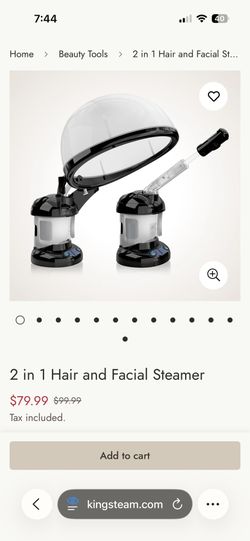 Salon Hair Steamer