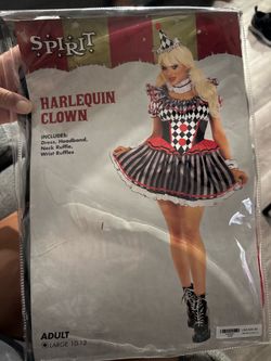 Harlequin clown costume