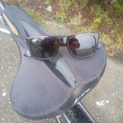 Ray Ban Sunglasses