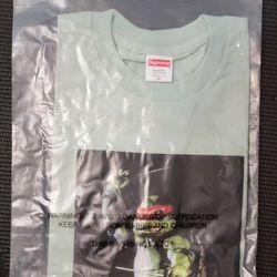 Supreme Raphael Tee 