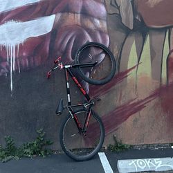 29 Inch Supreme Flyer 