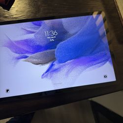 Samsung Galaxy S7 FE 