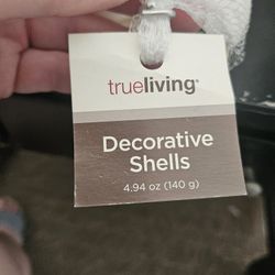 Decorative Shells