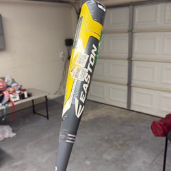 Baseball Bat Easton 31 Inches -10