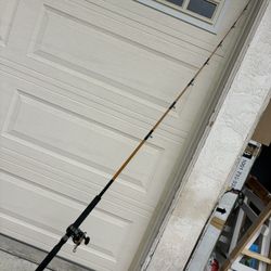 Fishing Rod And Reel