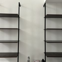 Ladder Shelves / Bookshelves