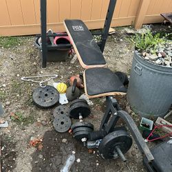Weights And Bench 