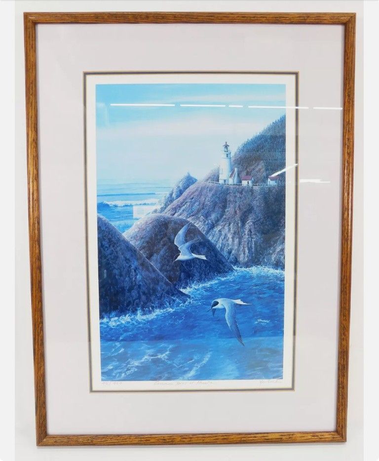 'Common Terns at Heceta' by Ed Newbold Signed Numbered Framed Artwork Print