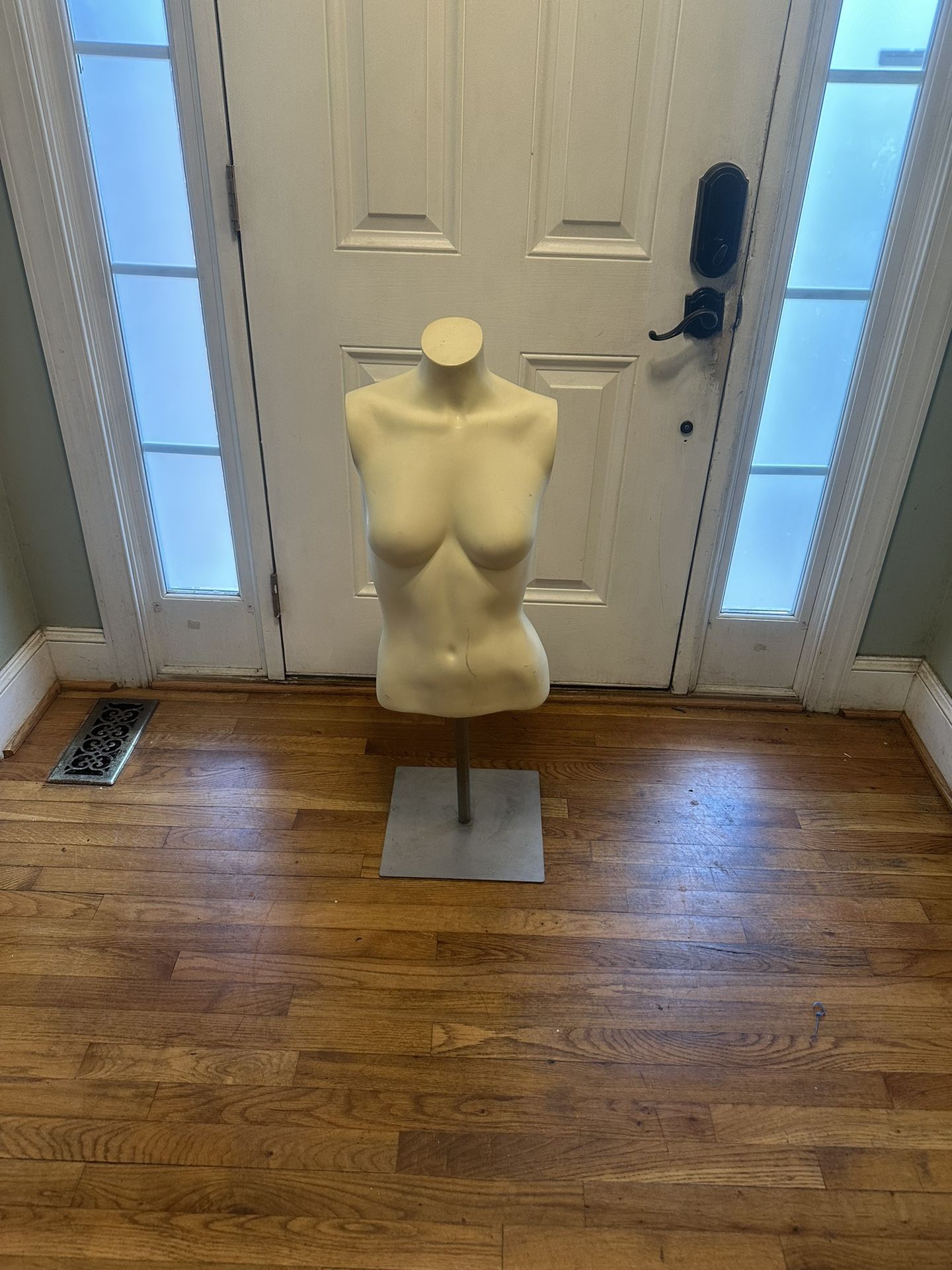 Manikin