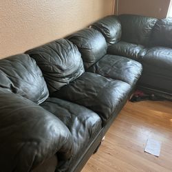 Free Couch