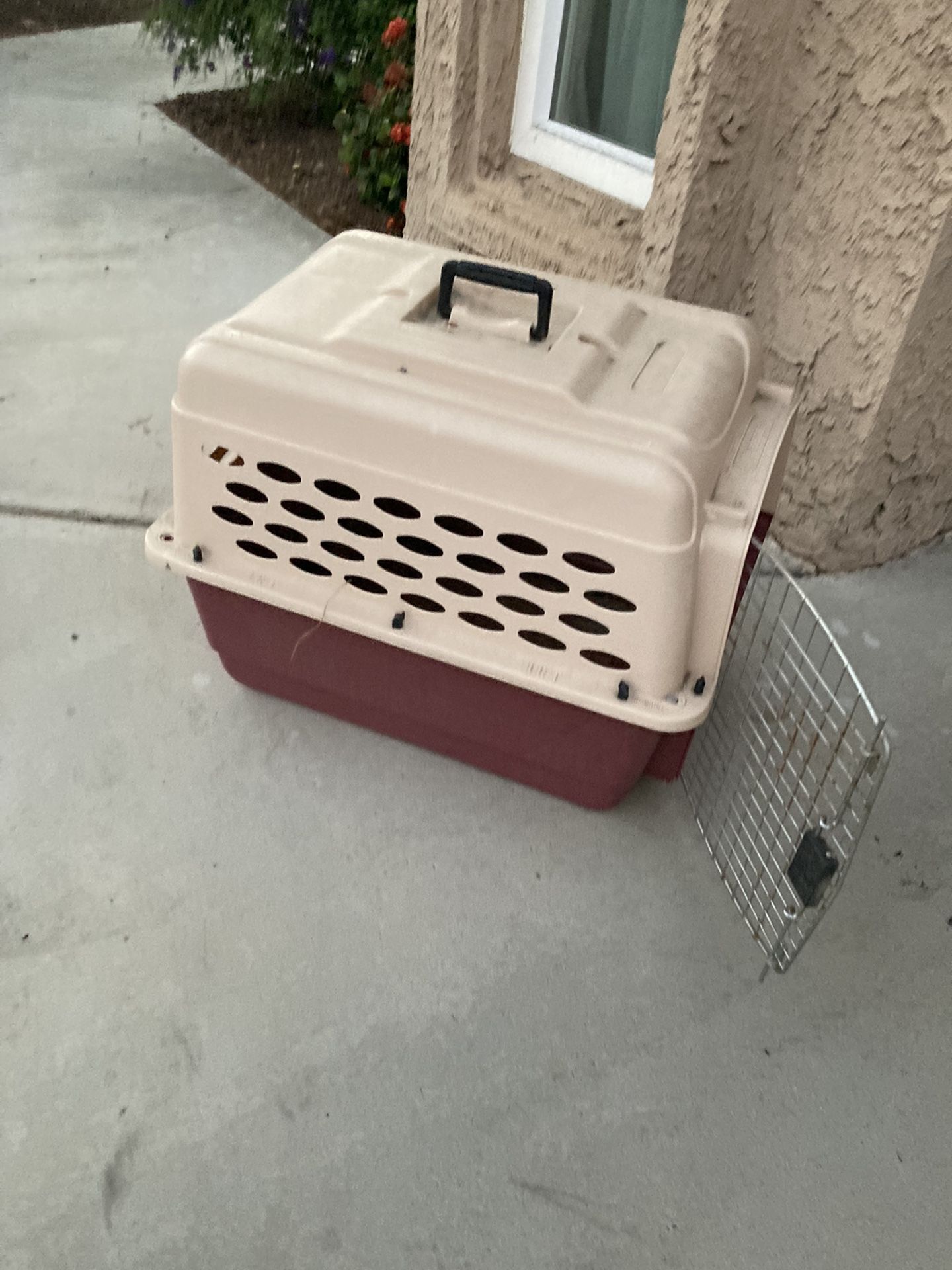 Medium Sized Animal Crate