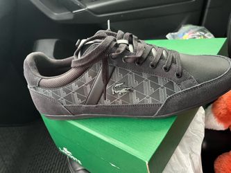 Lacoste shoe size 10