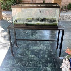40 Gallon Fish Tank And Stand 