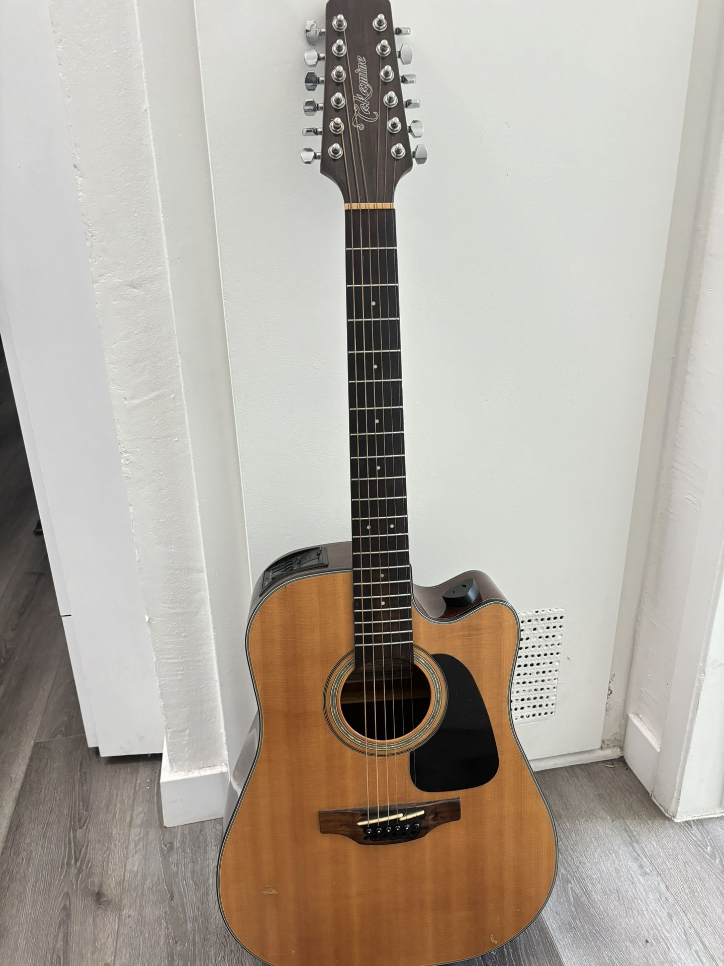 Takamine 12 string