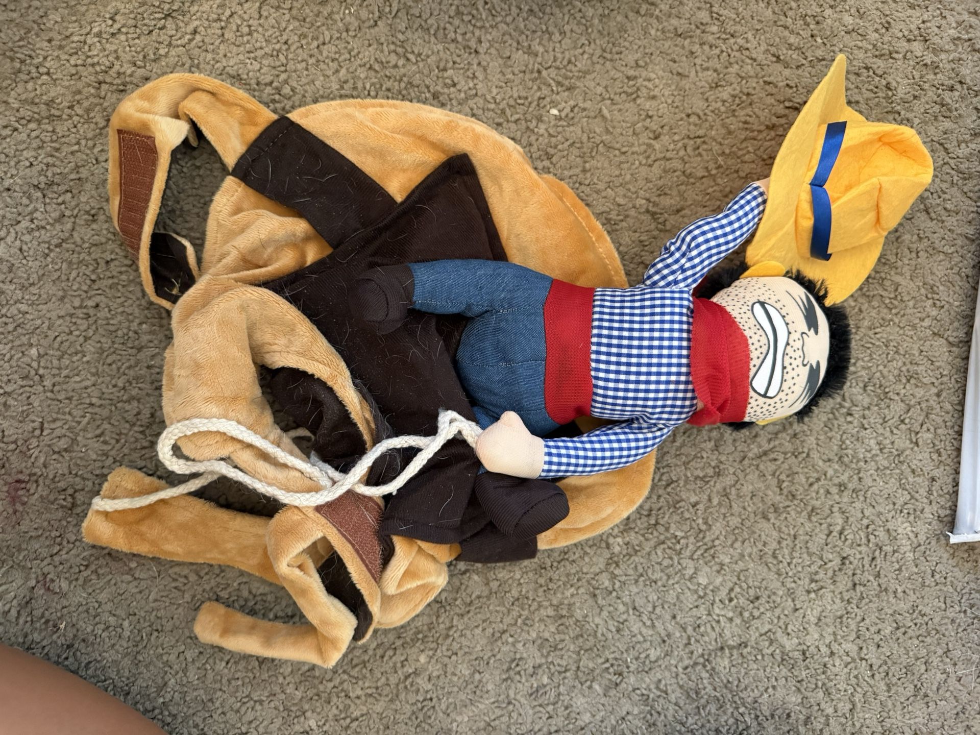 Dog cowboy riding the dog costume