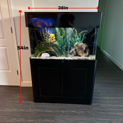 Fish tank 