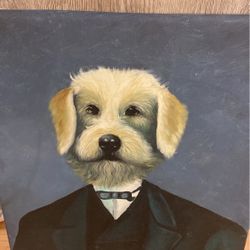 Dog Portrait 