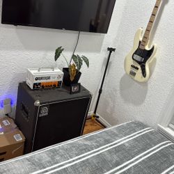 Orange Terror Bass Amp And Cab