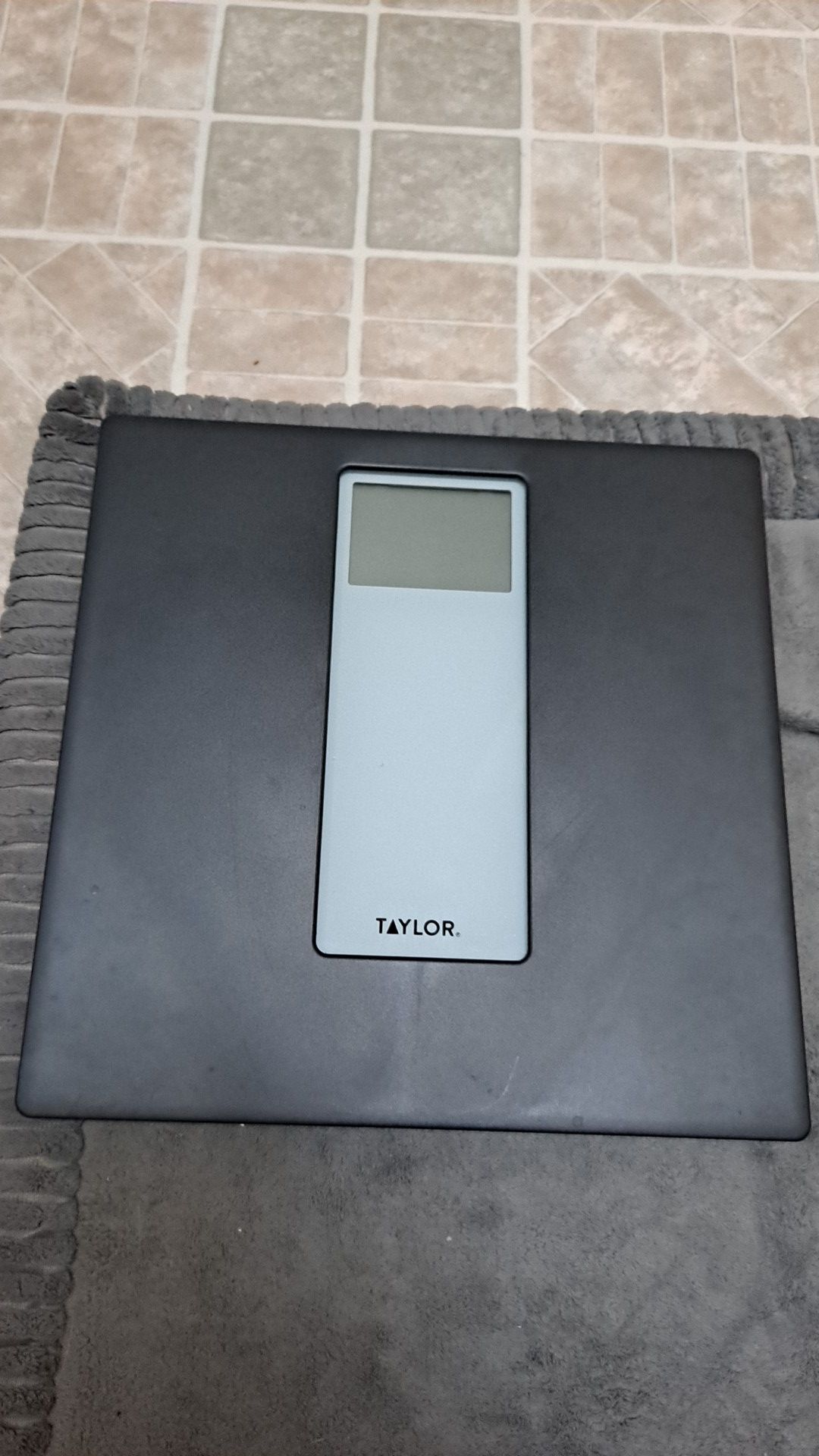 Bathroom Scale Taylor Electronic