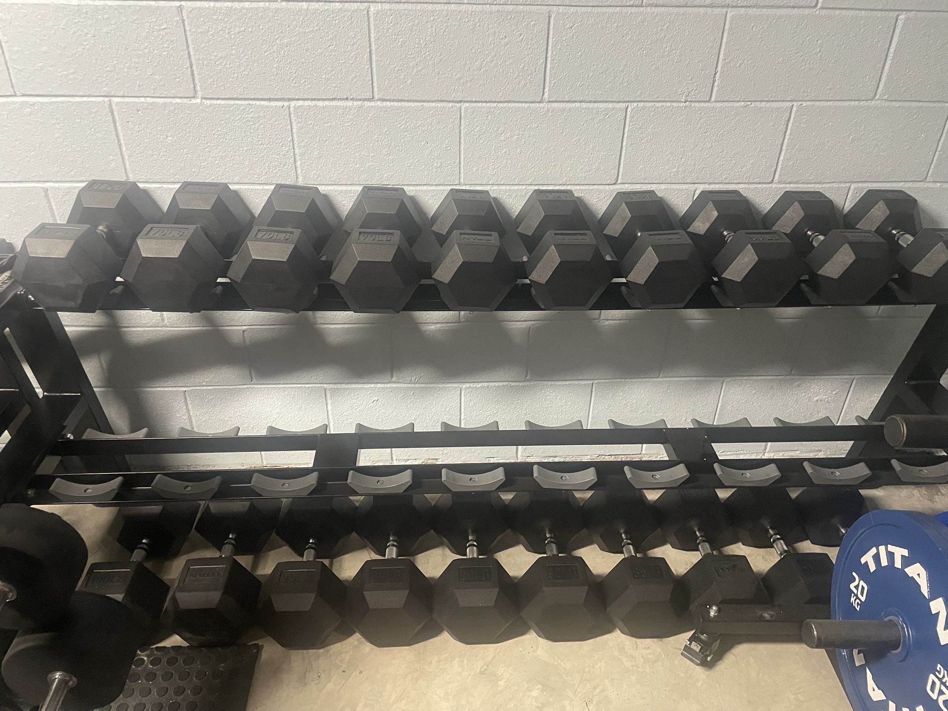 Titan Fitness 55-100lbs Dumbbells With rack