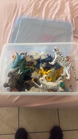 animals toys