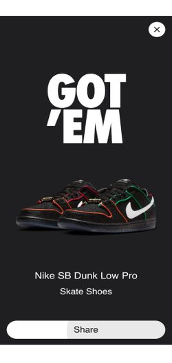 Nike Dunk SB Bronx size 10.5 (NO TRADES PRICE IS FIRM)