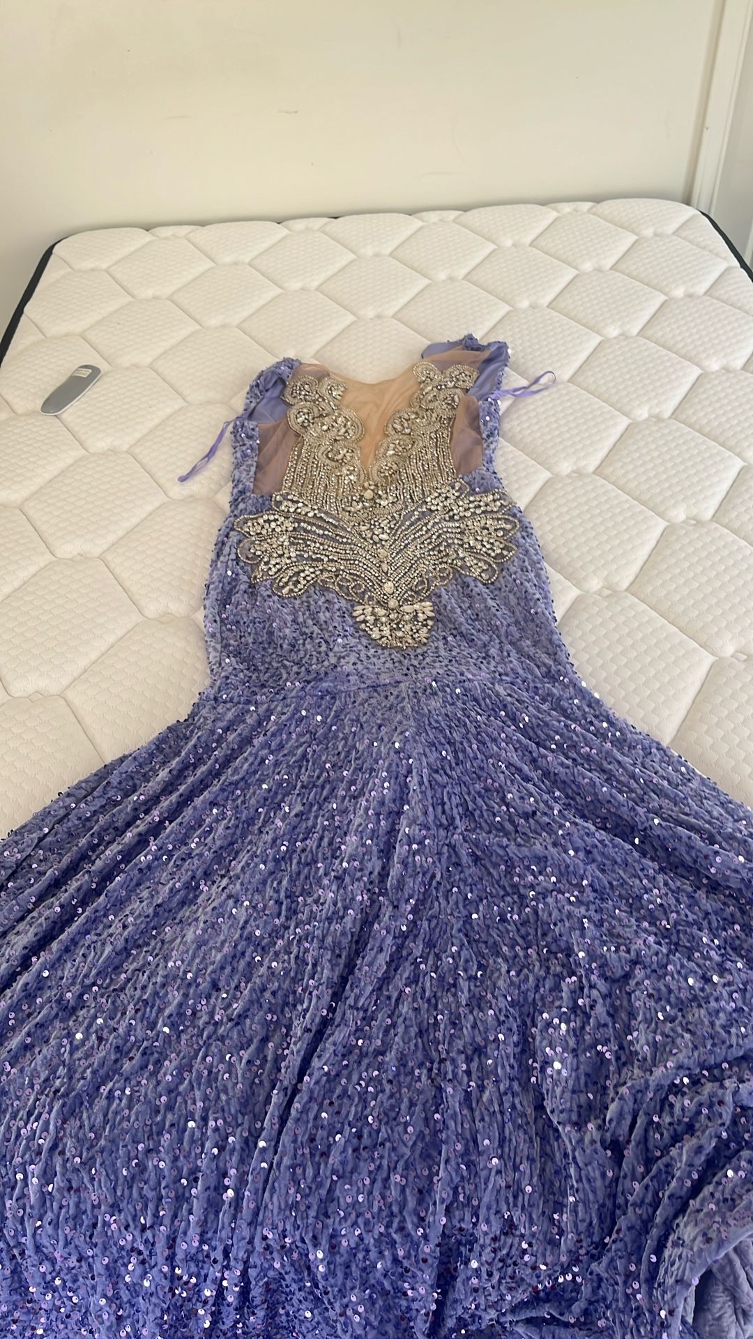 Prom Dress Or Sweet 16