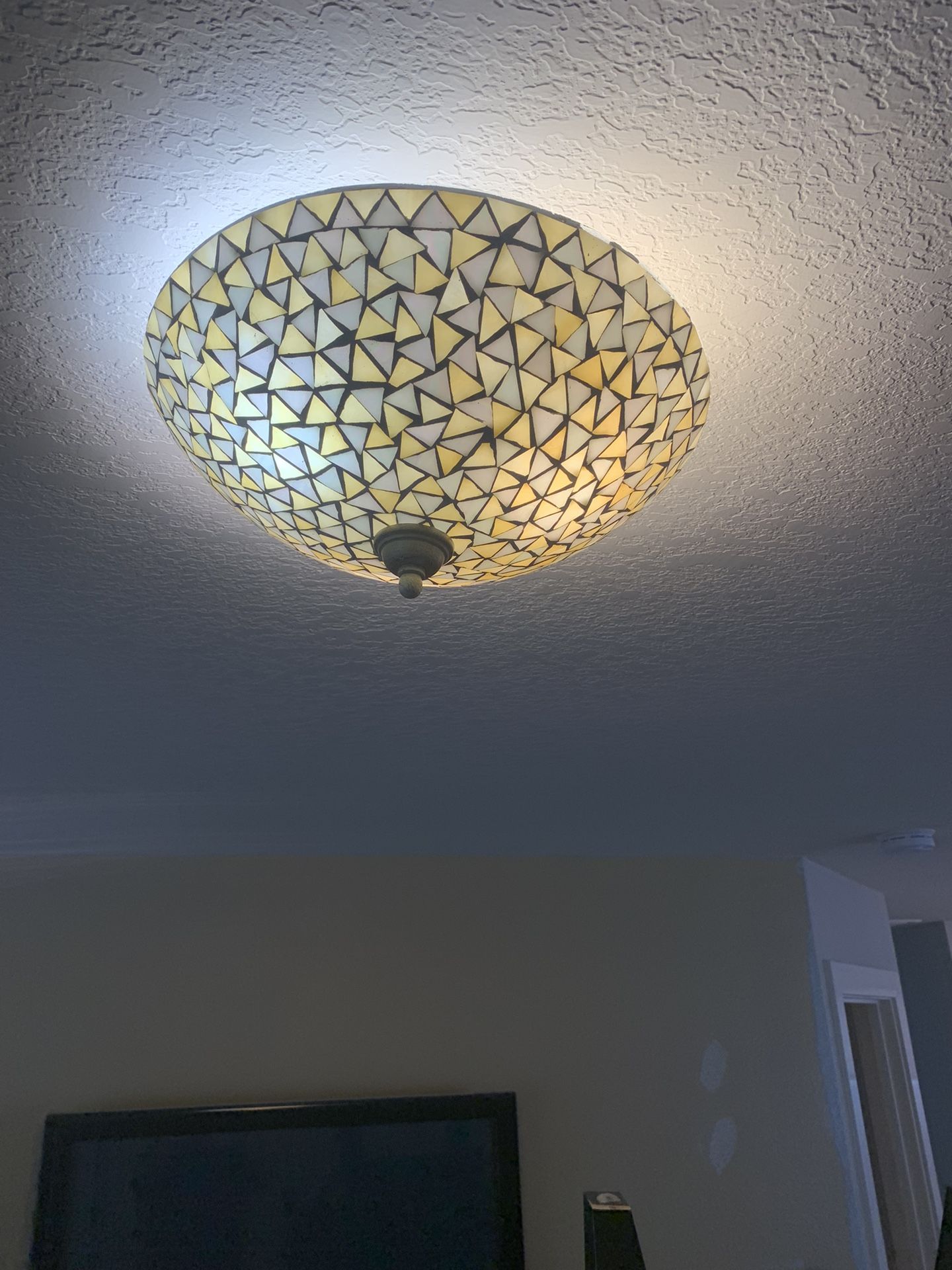 Flush Mount Ceiling Light 